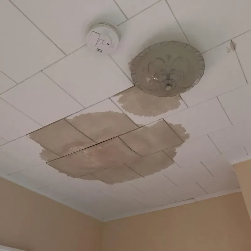 Ceiling Water Damage Repair in Pecos County, TX