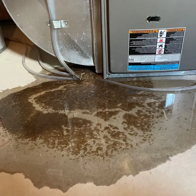 Pipe Burst and Leak Restoration in Pecos County, TX