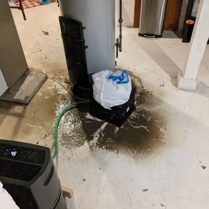 Sewage Backup Cleanup Service in Pecos County, TX